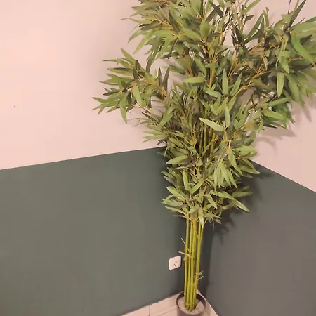 Apartment Plants 24 7 Check In 4 Persons Kelkheim