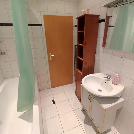 Plants 24 7 Check In 4 Persons