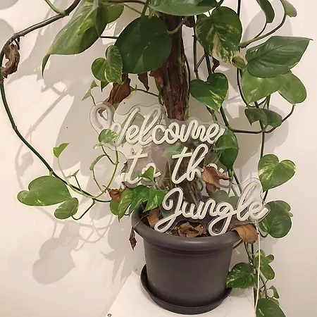 Apartment Plants 24 7 Check In 4 Persons