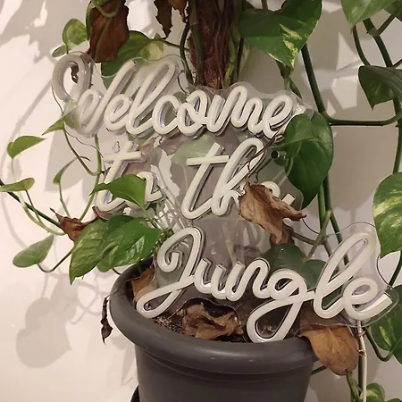 Plants 24 7 Check In 4 Persons Apartment *