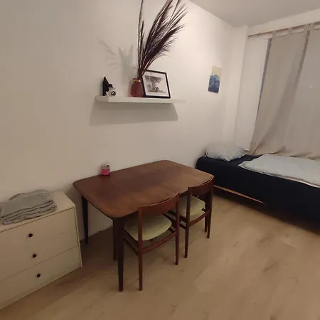 Plants 24 7 Check In 4 Persons Apartment