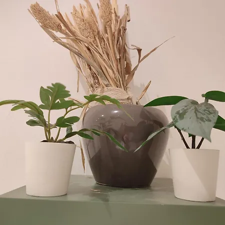 Plants 24 7 Check In 4 Persons * Kelkheim