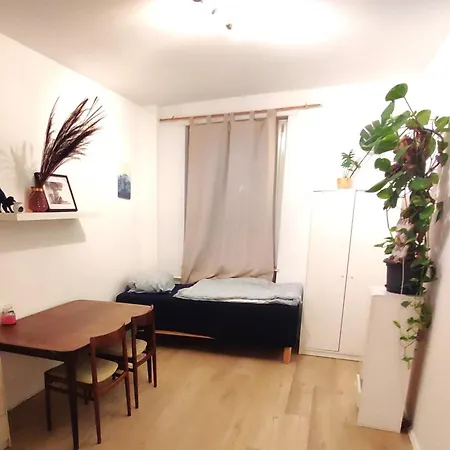 Plants 24 7 Check In 4 Persons Apartment