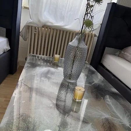 Plants 24 7 Check In 4 Persons