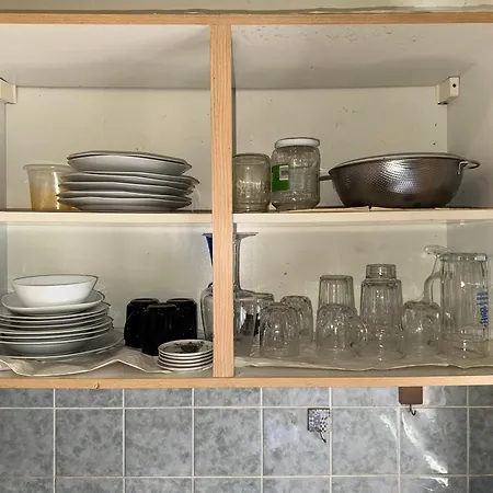 Plants 24 7 Check In 4 Persons Lejlighed