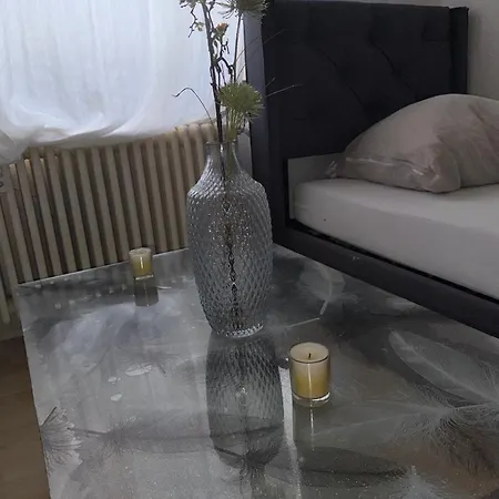 Plants 24 7 Check In 4 Persons