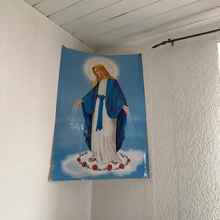 Apartment Plants 24 7 Check In 4 Persons *