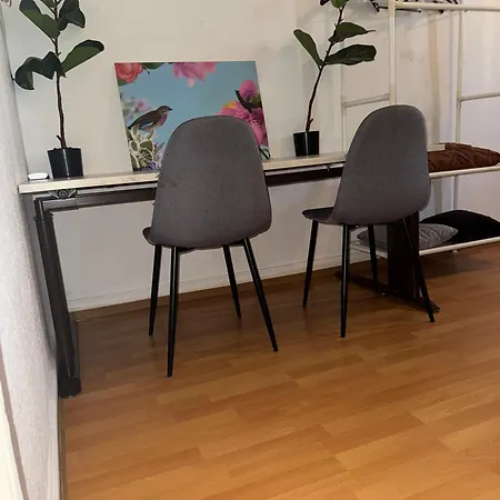 Plants 24 7 Check In 4 Persons Kelkheim