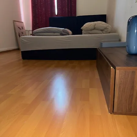 Plants 24 7 Check In 4 Persons