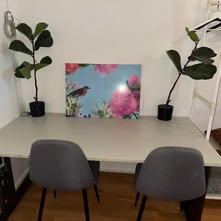 Plants 24 7 Check In 4 Persons Lejlighed *