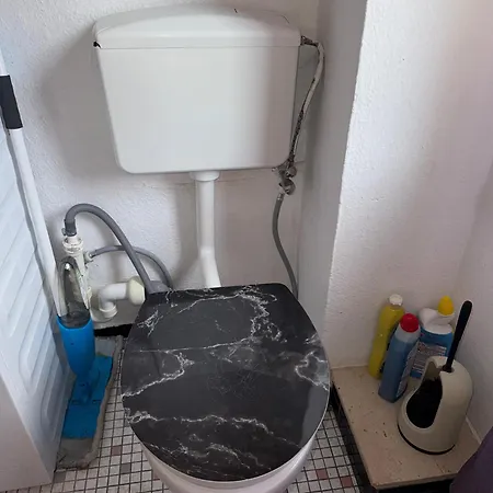 Apartment Plants 24 7 Check In 4 Persons