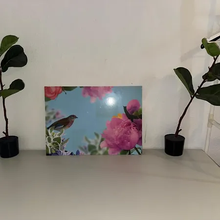 Apartment Plants 24 7 Check In 4 Persons *