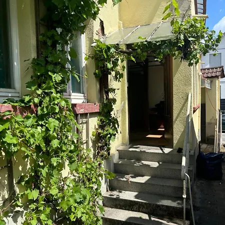 Plants 24 7 Check In 4 Persons Apartment Kelkheim