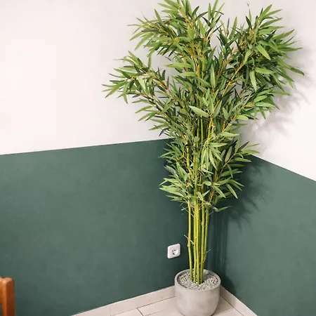 Apartamento Plants 24 7 Check In 4 Persons