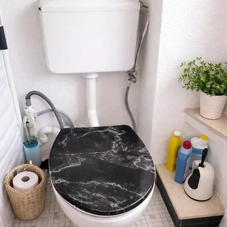 Plants 24 7 Check In 4 Persons