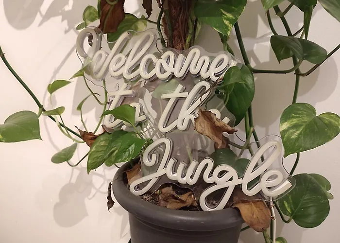 Plants 24 7 Check In 4 Persons Apartment *