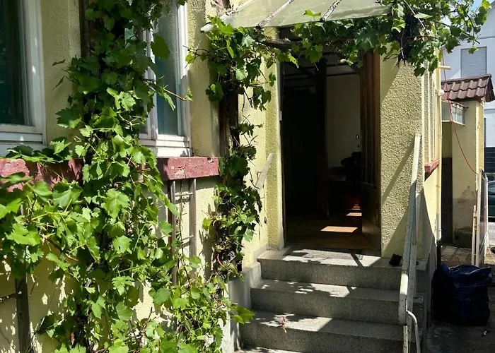 Plants 24 7 Check In 4 Persons Apartment Kelkheim