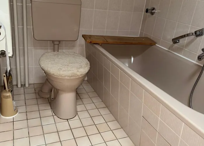 Apartment Plants 24 7 Check In 4 Persons Kelkheim