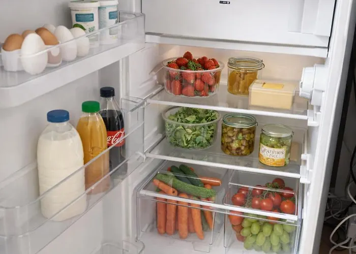 Plants 24 7 Check In 4 Persons Apartment Kelkheim