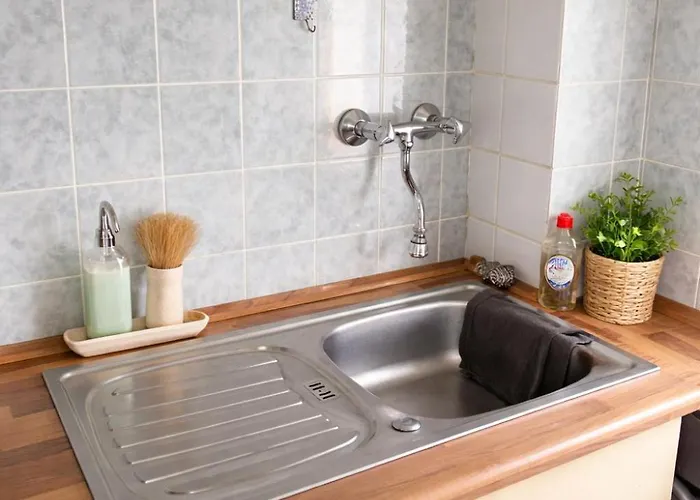 Apartment Plants 24 7 Check In 4 Persons Kelkheim