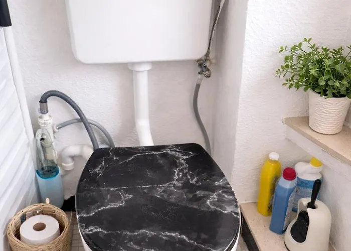 Plants 24 7 Check In 4 Persons